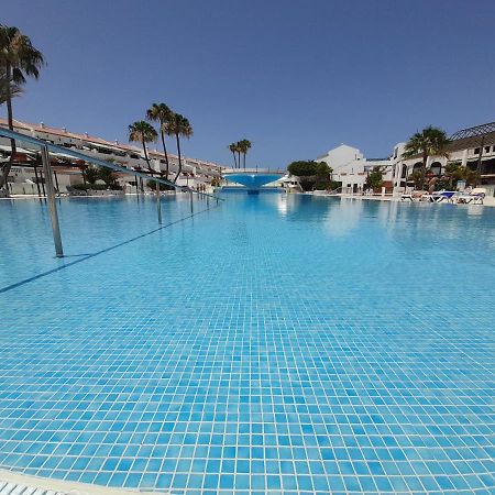Parque Don Jose 390 Arona (Tenerife) Exterior foto