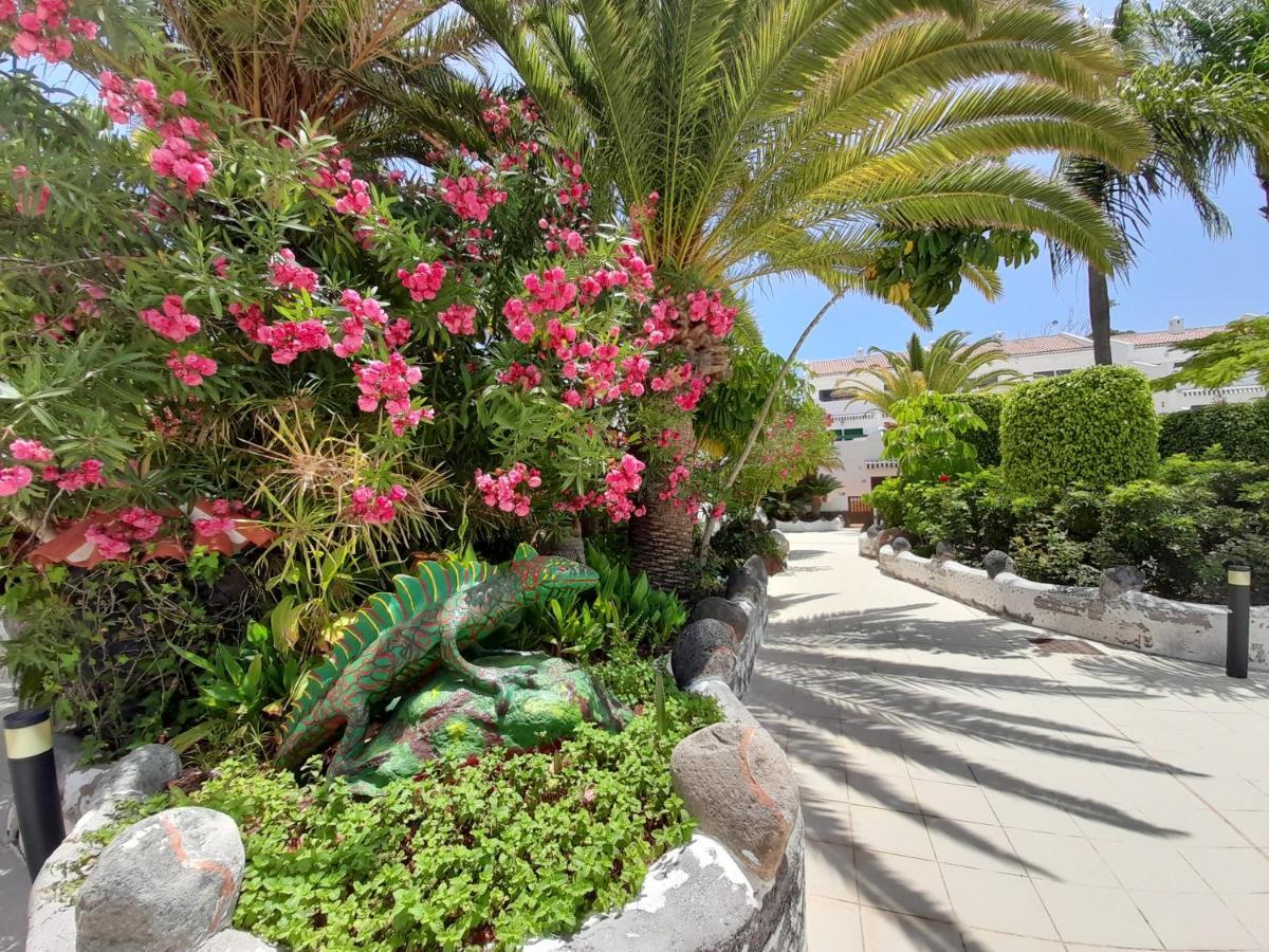 Parque Don Jose 390 Arona (Tenerife) Exterior foto